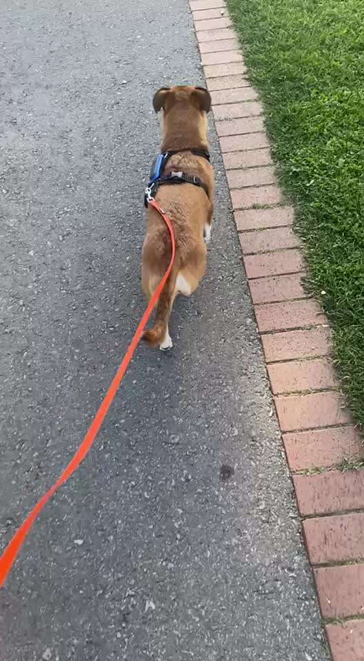 "Wege zur Freundschaft" (Ulli Reichmann)-Beitrag-Bild