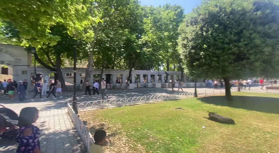 TierschutzhundeStammtisch🐕-Beitrag-Bild