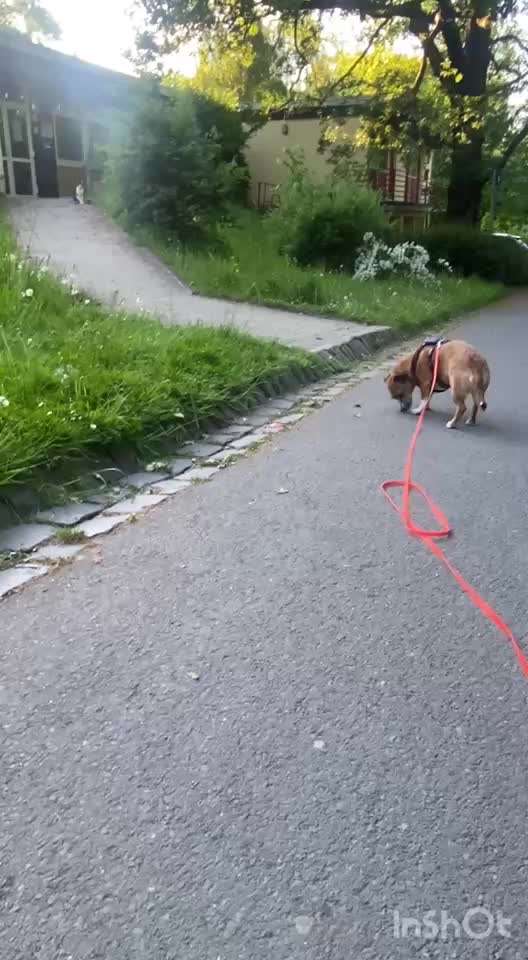 "Wege zur Freundschaft" (Ulli Reichmann)-Beitrag-Bild