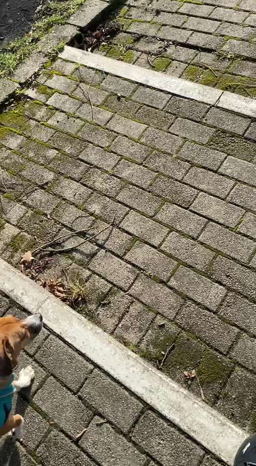 Nr. 64 Selbstständig warten zum Einleinen-Beitrag-Bild