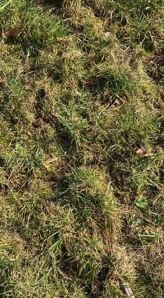 "Wege zur Freundschaft" (Ulli Reichmann)-Beitrag-Bild