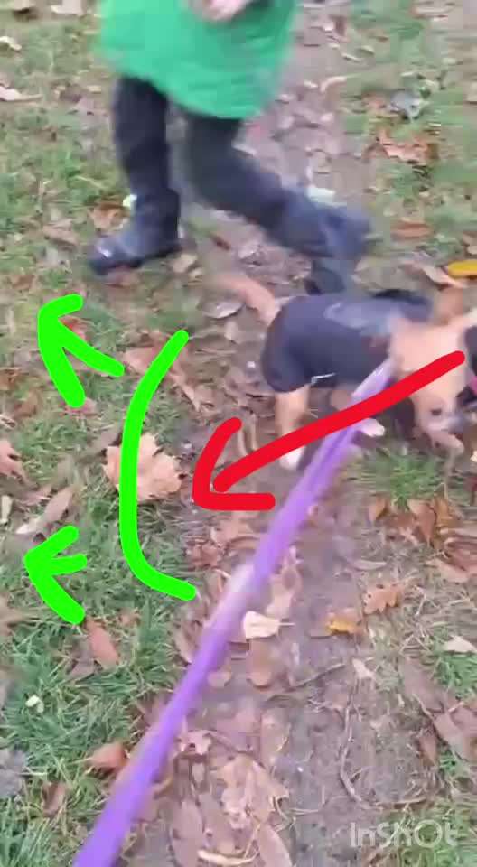 Analyse & Interpretation von Verhalten-Beitrag-Bild