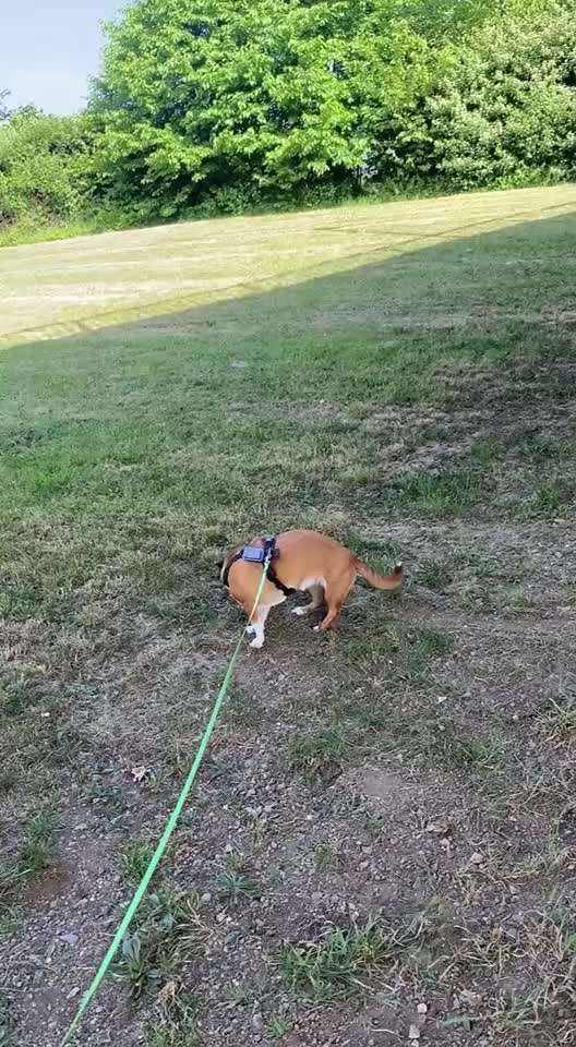 "Wege zur Freundschaft" (Ulli Reichmann)-Beitrag-Bild