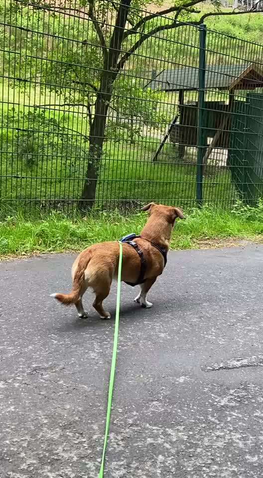 "Wege zur Freundschaft" (Ulli Reichmann)-Beitrag-Bild