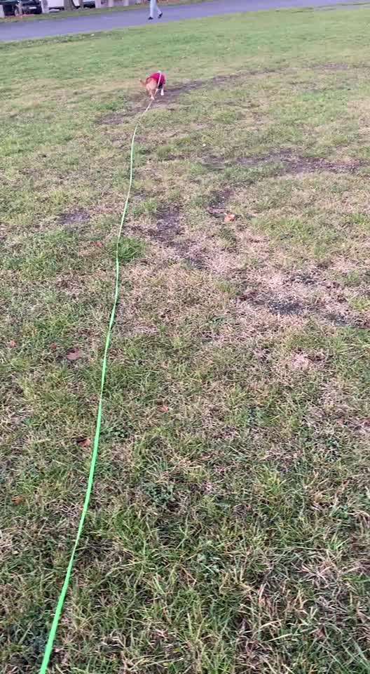 "Wege zur Freundschaft" (Ulli Reichmann)-Beitrag-Bild