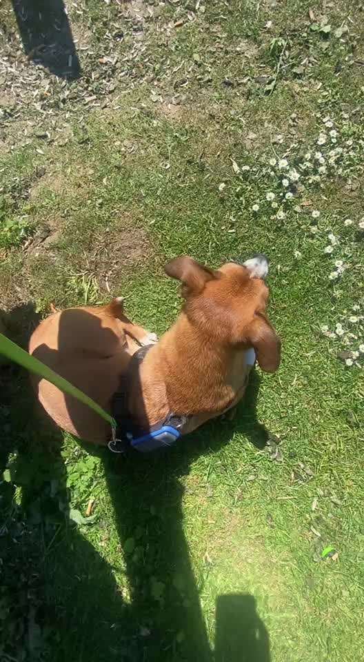 54. Impulskontrollchallenge  PAUSE MACHEN !-Beitrag-Bild