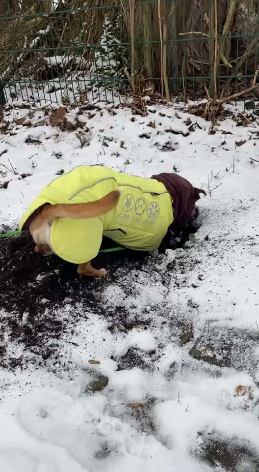 "Wege zur Freundschaft" (Ulli Reichmann)-Beitrag-Bild