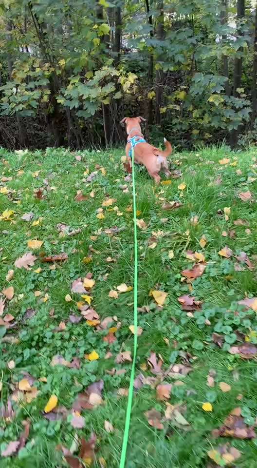 "Wege zur Freundschaft" (Ulli Reichmann)-Beitrag-Bild