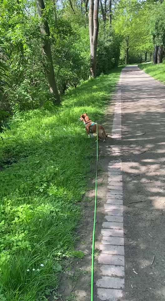 "Wege zur Freundschaft" (Ulli Reichmann)-Beitrag-Bild
