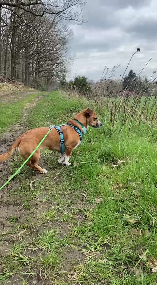 "Wege zur Freundschaft" (Ulli Reichmann)-Beitrag-Bild