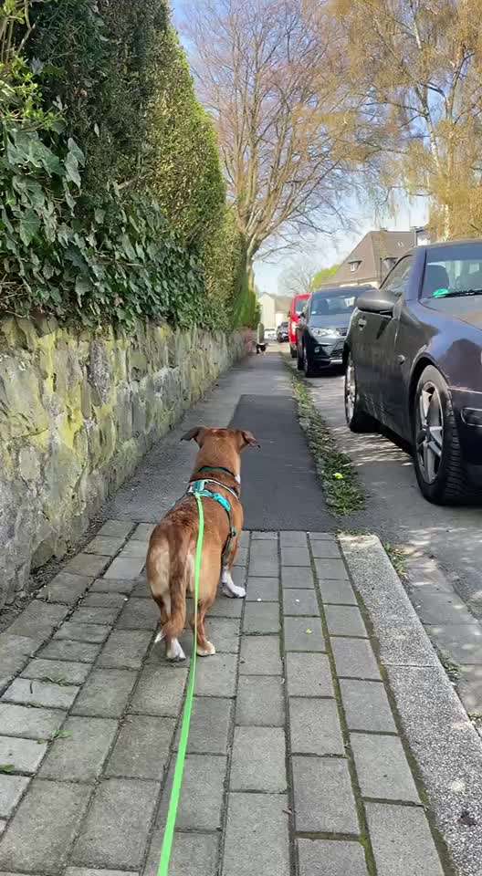 "Wege zur Freundschaft" (Ulli Reichmann)-Beitrag-Bild