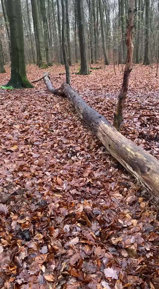 80. Trickspiel Balancieren-Beitrag-Bild