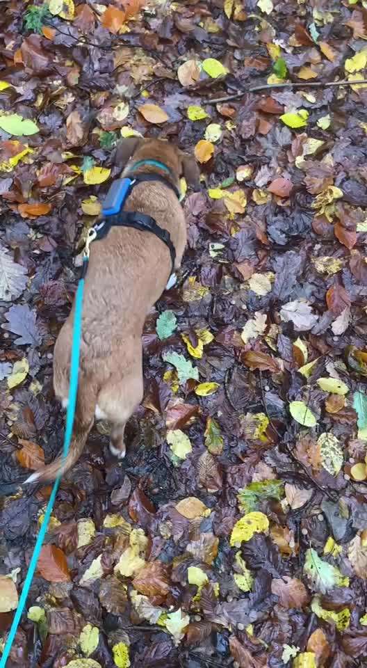 "Wege zur Freundschaft" (Ulli Reichmann)-Beitrag-Bild