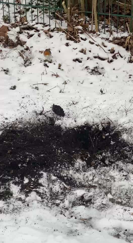 "Wege zur Freundschaft" (Ulli Reichmann)-Beitrag-Bild