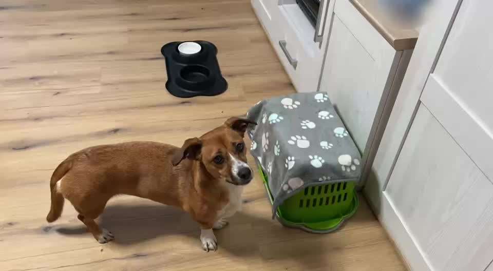 44. Impulskontrolle Callenge: ,,Essen ins Gesicht legen"-Beitrag-Bild