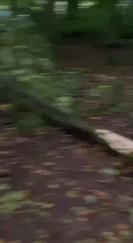 "Wege zur Freundschaft" (Ulli Reichmann)-Beitrag-Bild