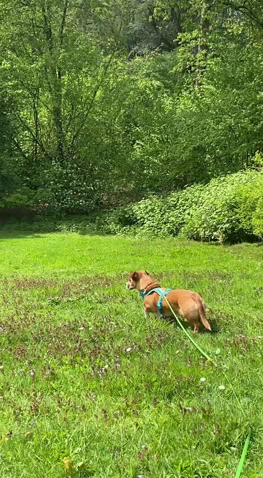 "Wege zur Freundschaft" (Ulli Reichmann)-Beitrag-Bild