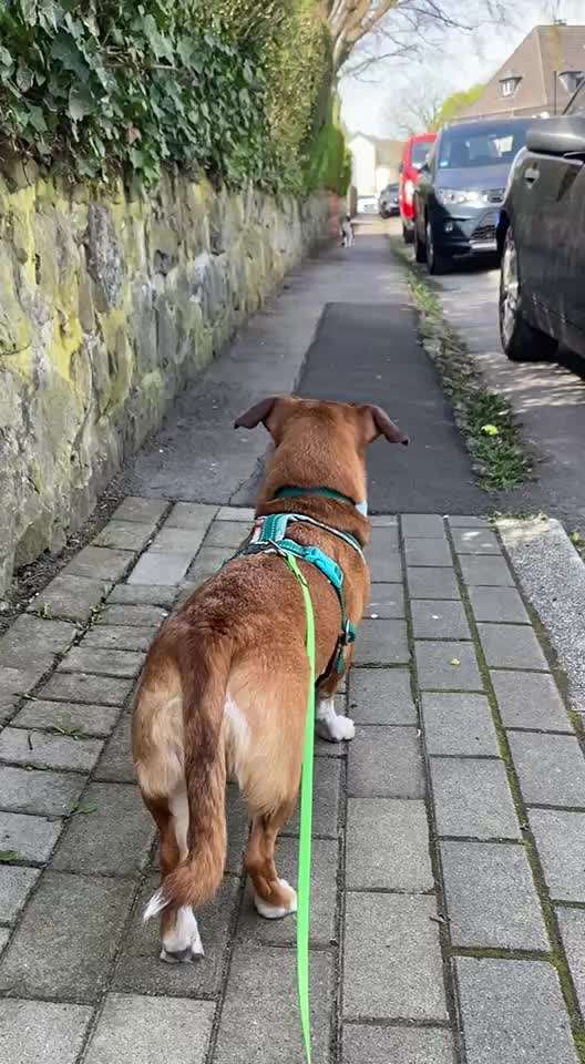 "Wege zur Freundschaft" (Ulli Reichmann)-Beitrag-Bild