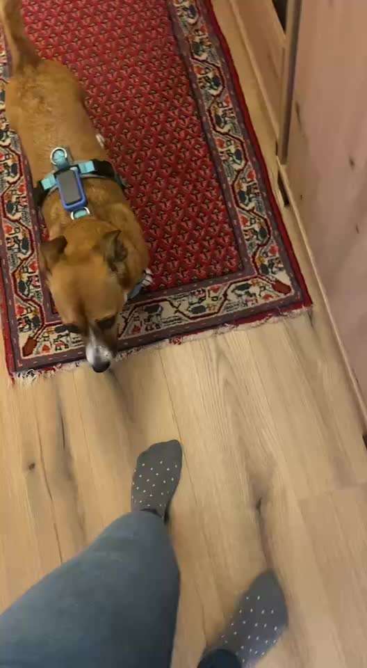 56. Impulskontrollchallenge : Ich warte auf dich !-Beitrag-Bild