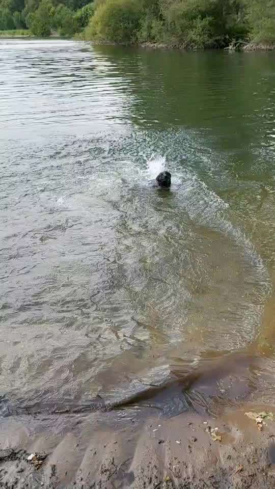 Was macht ihr am liebsten?-Beitrag-Bild