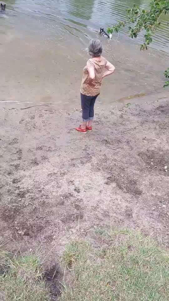 Schwimmen lernen-Beitrag-Bild