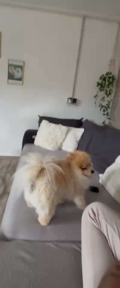 Verlustangst-Beitrag-Bild