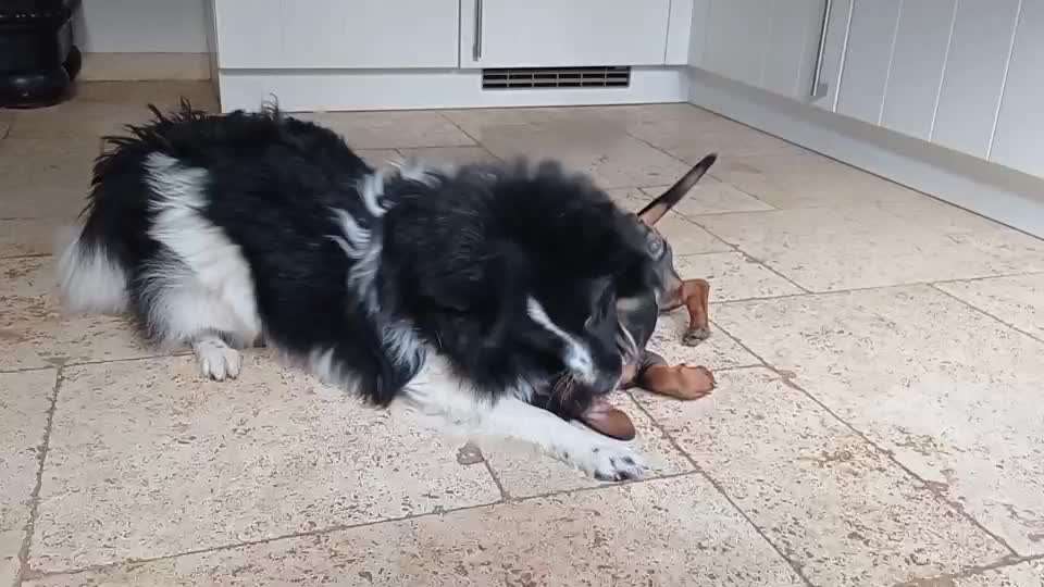 Korrektur vs Bindungsentzug-Beitrag-Bild