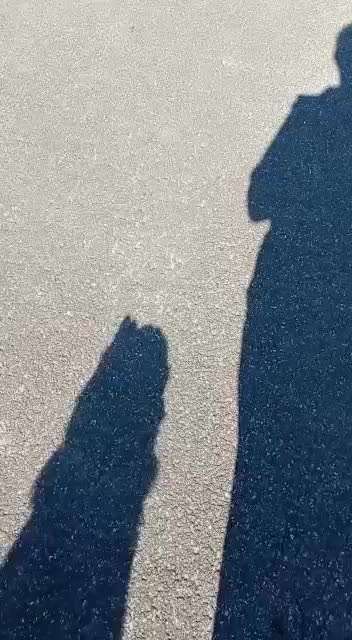 Beim Training völlig unkonzentriert.-Beitrag-Bild