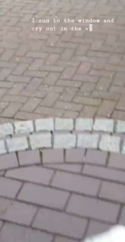 Golden Retriever-Beitrag-Bild