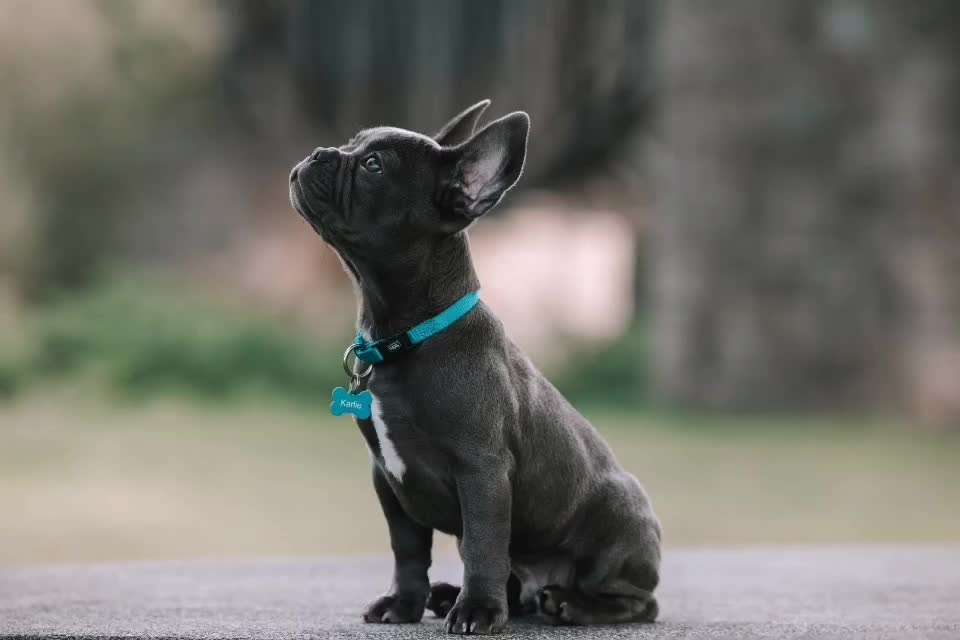 Photoshop und Co.-Beitrag-Bild