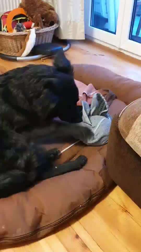 Schnüffelspiele Ideen.-Beitrag-Bild