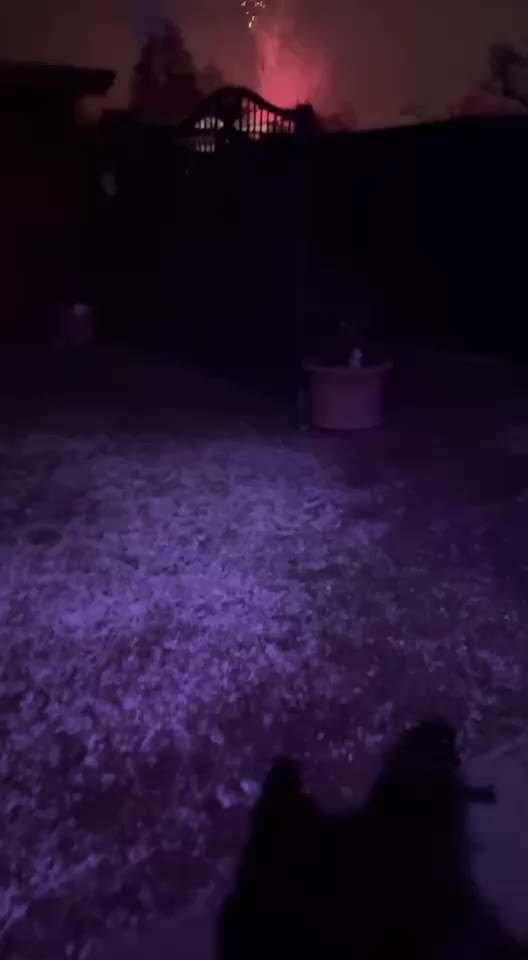 Wie habt ihr den Silvesterabend verbracht?-Beitrag-Bild