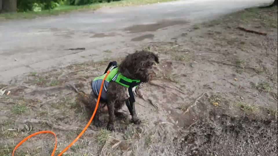 Schwimmen lernen-Beitrag-Bild