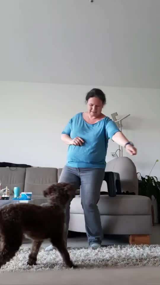 Trickdogging-Beitrag-Bild