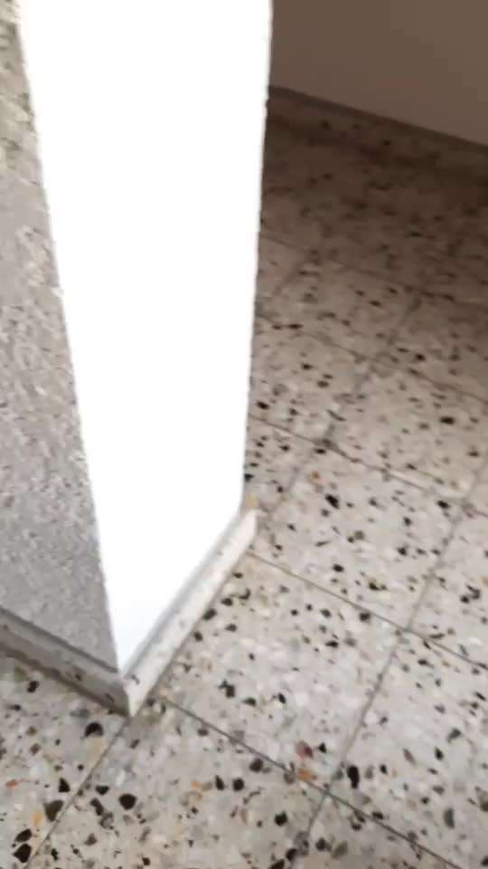 Trickdogging-Beitrag-Bild