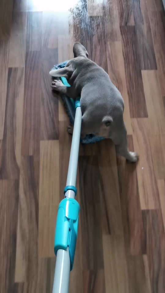 FOTO CHALLENGE Thema ,,durchdrehen"-Beitrag-Bild