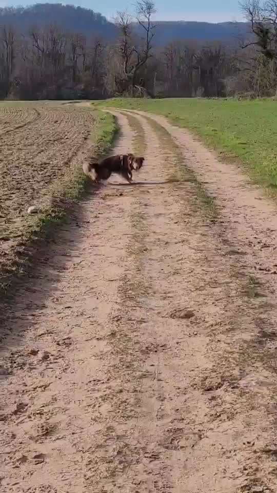 15. Video Challenge.  In SloMo die Welt erkunden!-Beitrag-Bild