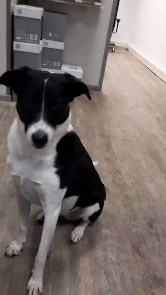 Geistige Förderung-Beitrag-Bild