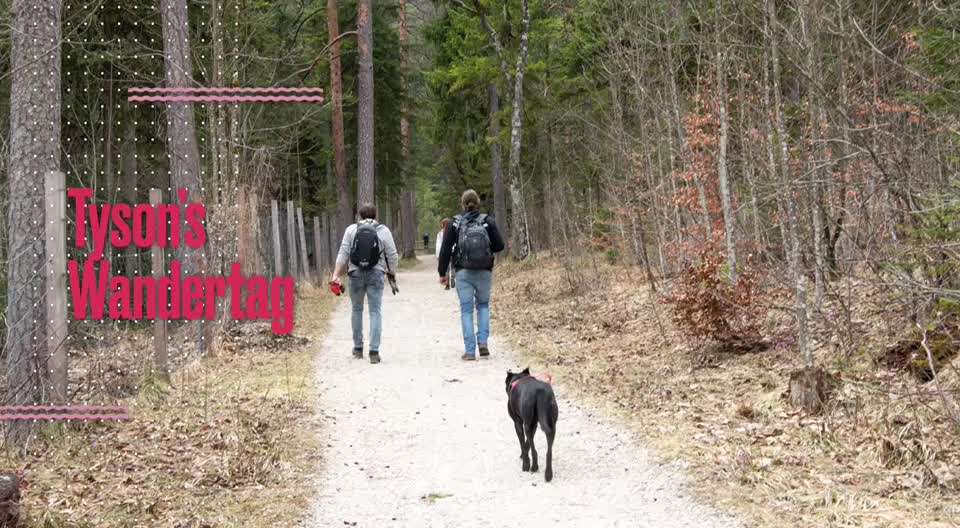 Kurzgeschichten-Challenge Nr. 18-Beitrag-Bild