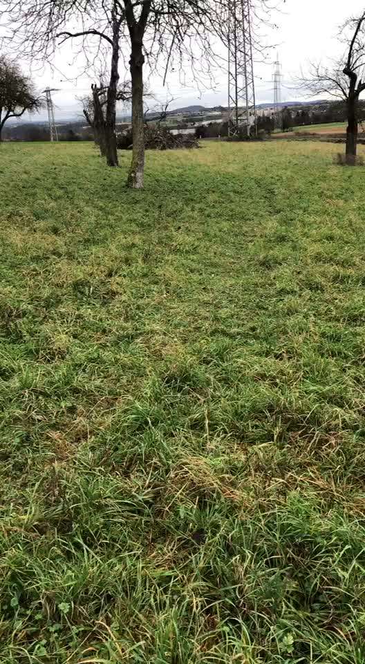 Impulskontrolle Challenge NR .4.           STOP/STEH/ WARTE-Beitrag-Bild