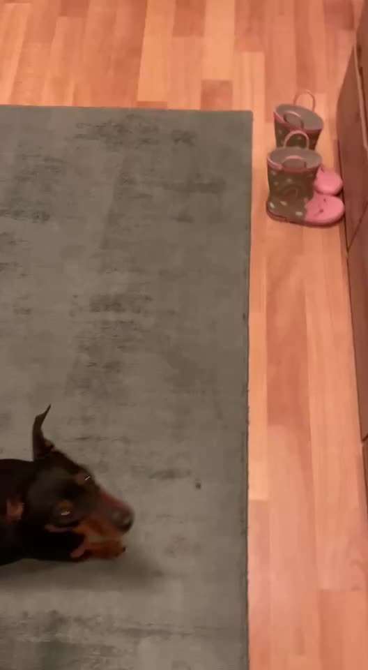 Trick Spiel - Koffer packen - der 17.-Beitrag-Bild