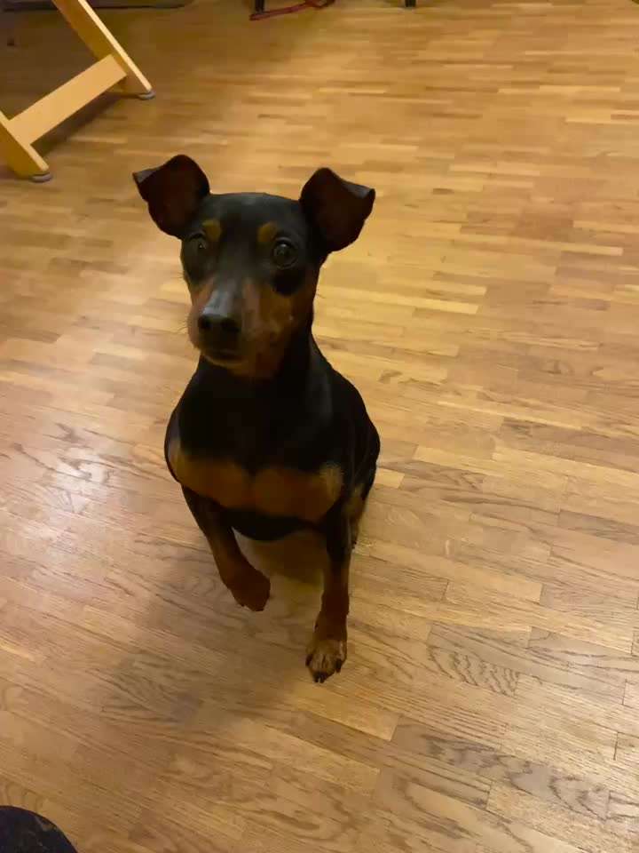 Trick Spiel - Koffer packen - der 18.-Beitrag-Bild