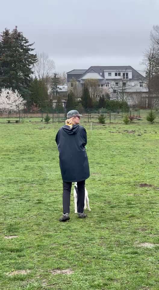 46. Video Challenge - Trainingserfolg-Beitrag-Bild