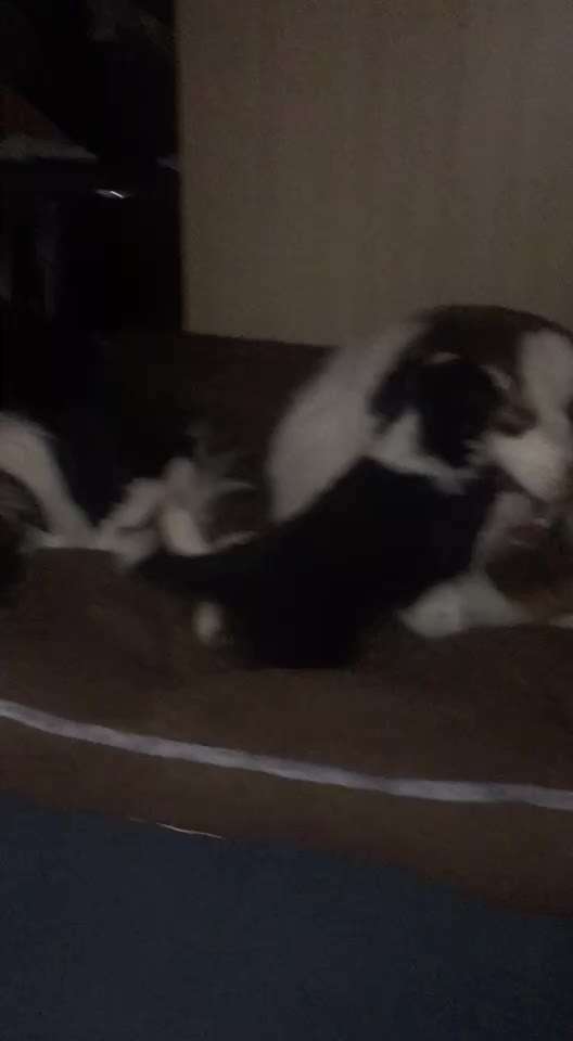 Sie werden so schnell erwachsen ...-Beitrag-Bild