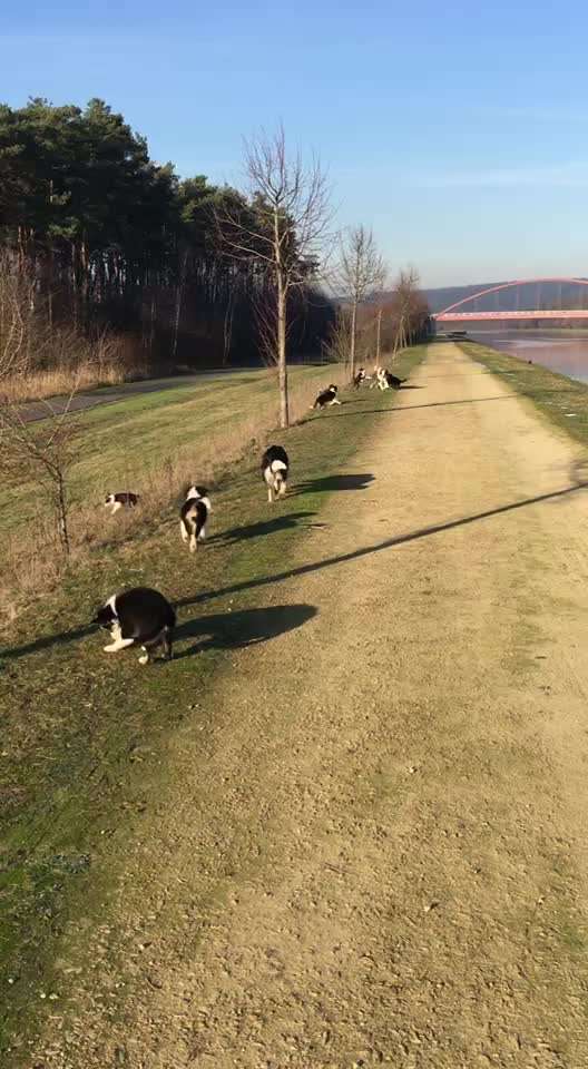 Sie werden so schnell erwachsen ...-Beitrag-Bild