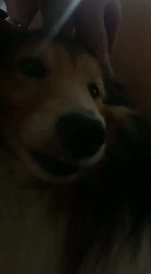 Schnelle Atmung-Beitrag-Bild