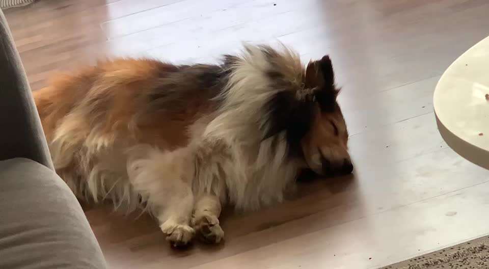 Schnelle Atmung-Beitrag-Bild