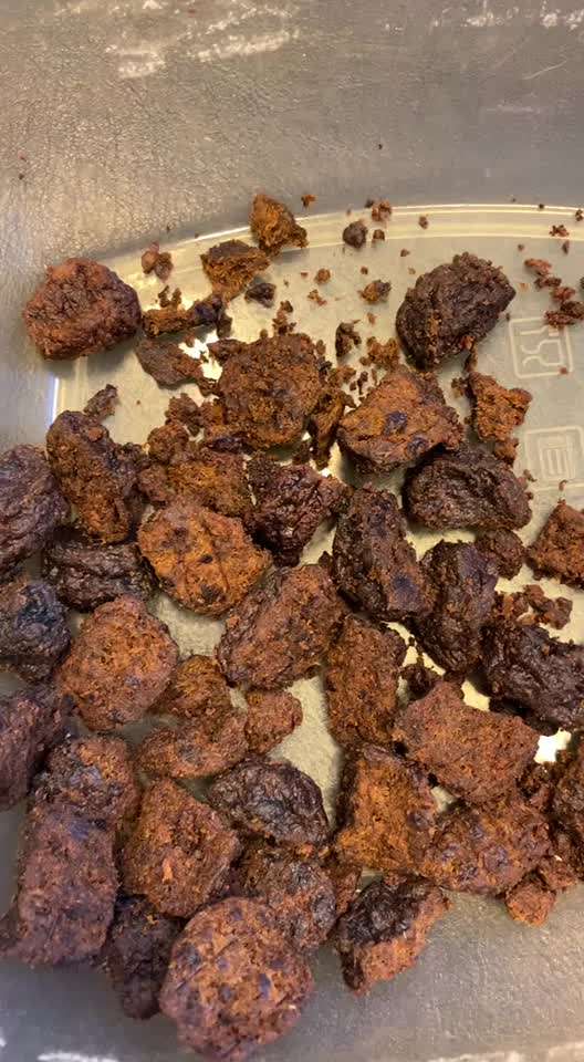 Trockenfutter/Trockenbarfen-Beitrag-Bild