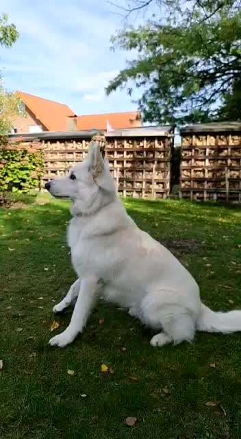 15. Video Challenge.  In SloMo die Welt erkunden!-Beitrag-Bild