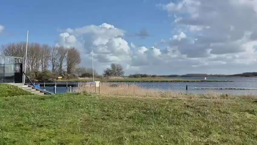 aktuelles Foto Gruppe Reisen mit Hund